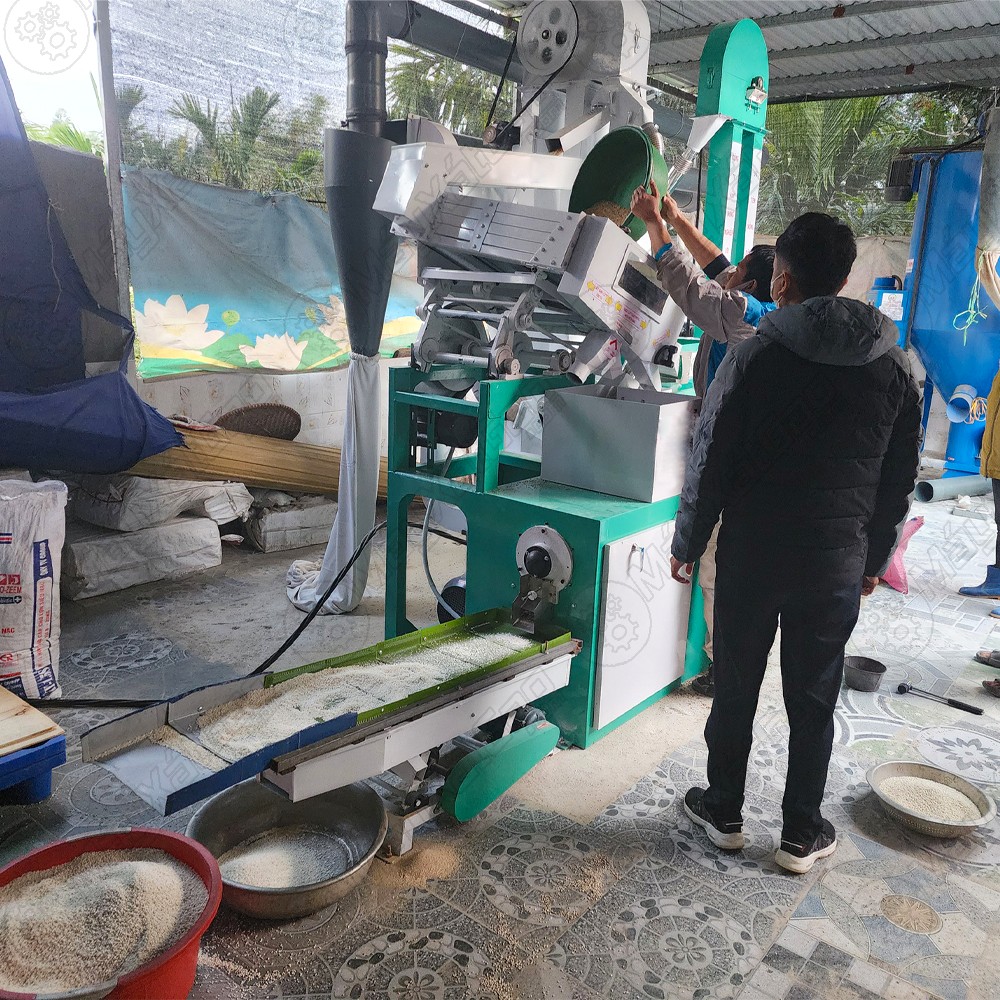 Sàng lọc gạo